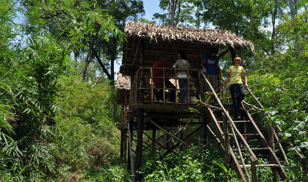 Gibbon Wildlife Sanctuary Gibbon Wildlife Sanctuary