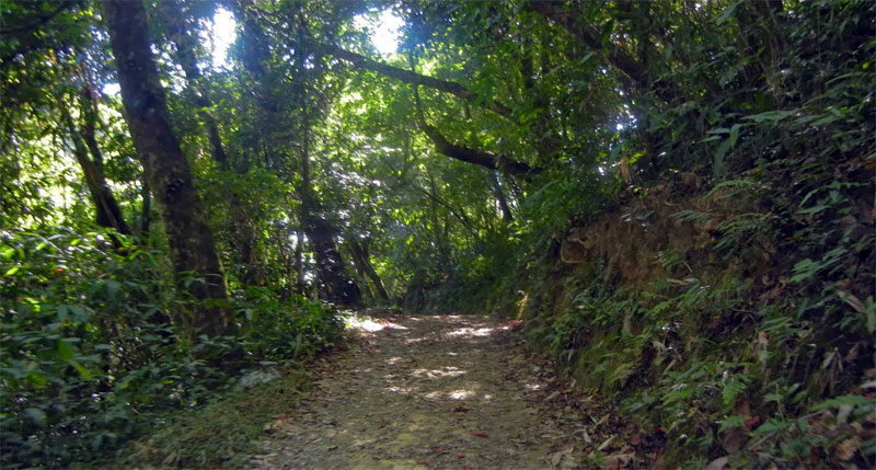 Reiek Tlang Reiek Tlang