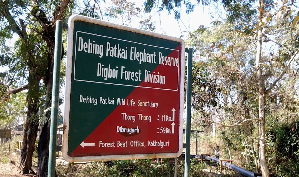 Dehing Patkai Wildlife Sanctuary