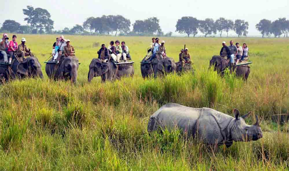 Kaziranga National Park Kaziranga National Park