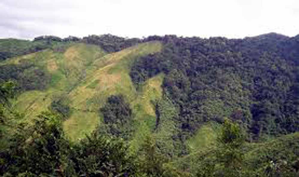 Nokrek National Park Nokrek National Park