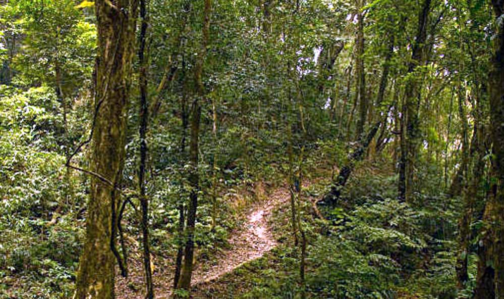 Nokrek National Park Nokrek National Park